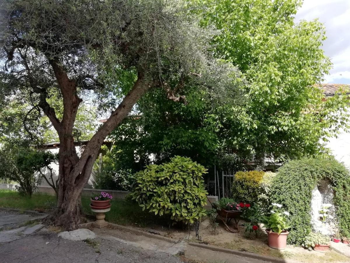 Il canto dei galli Monte Colombo Esterno foto